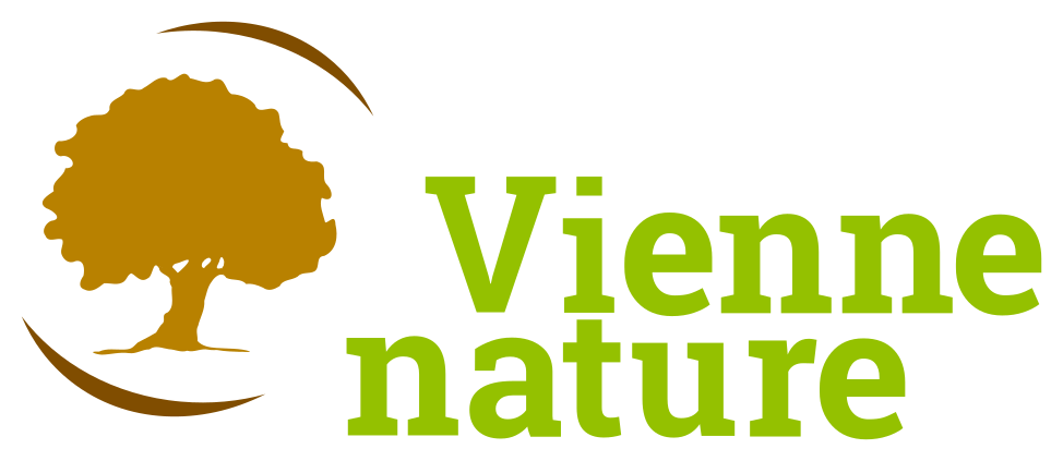 Logo-VN-2015-transparent.png